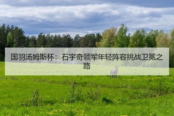 guo-yu-tang-mu-si-bei-shi-yu-qi-ling-jun-nian-qing-zhen-rong-tiao-zhan-wei-mian-zhi-lu-2-374.jpg