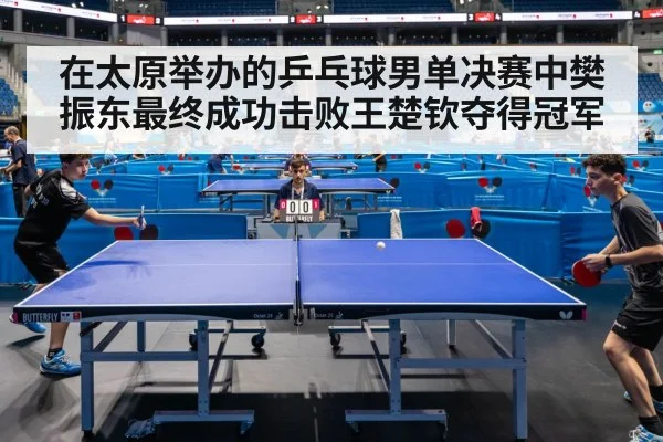 在太原举办的乒乓球男单决赛中樊振东最终成功击败王楚钦夺得冠军