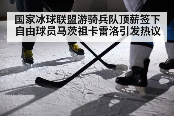 国家冰球联盟游骑兵队顶薪签下自由球员马茨祖卡雷洛引发热议
