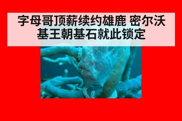 字母哥顶薪续约雄鹿 密尔沃基王朝基石就此锁定